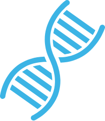 DNA Ribbon